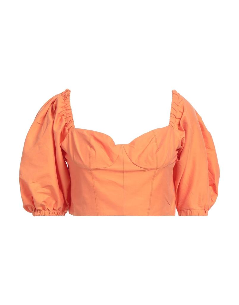 Amotea Top