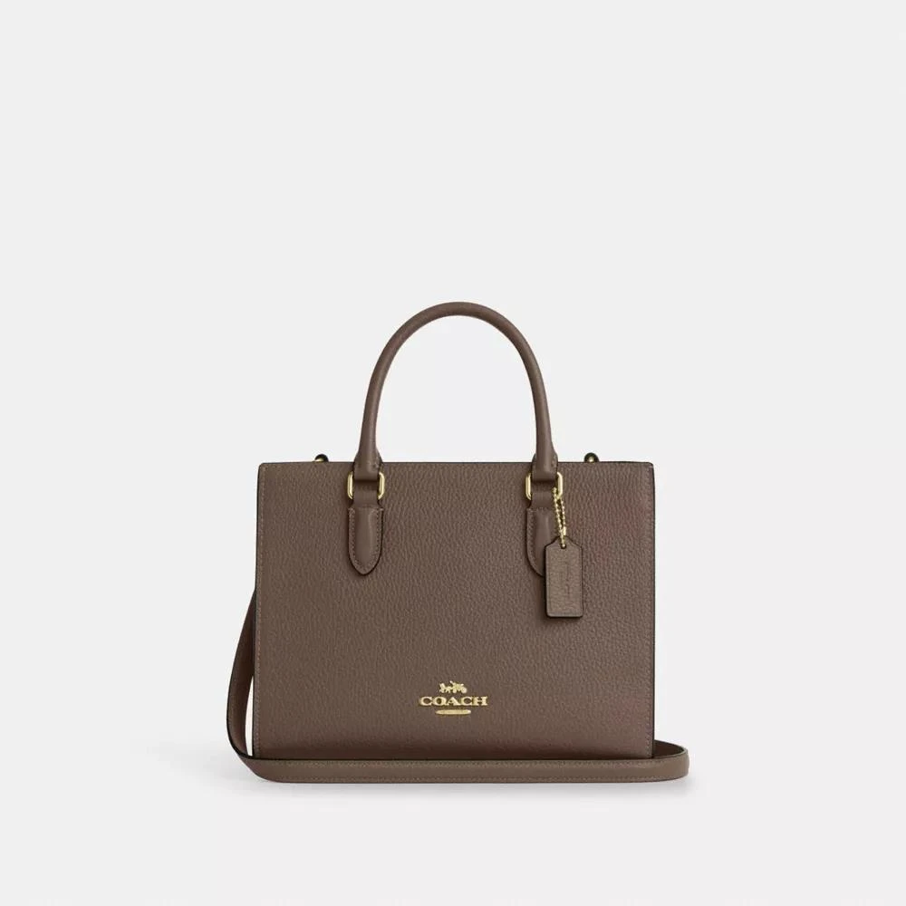 Coach Maggie Small Tote Bag 1