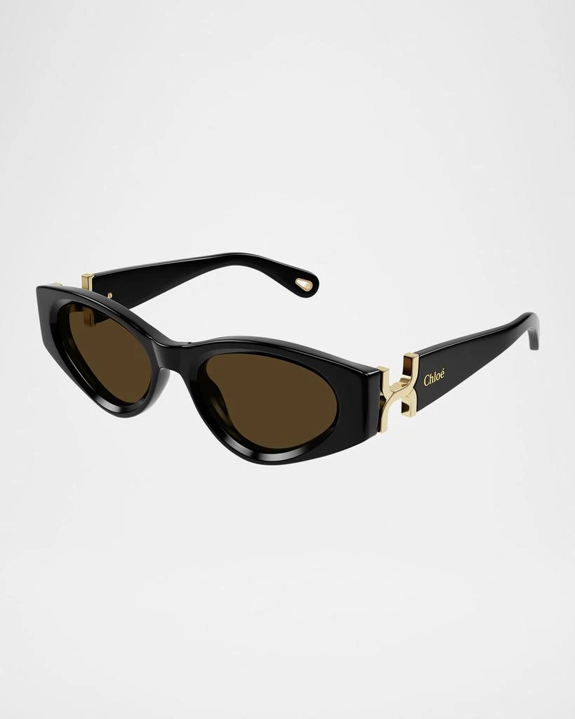 Chloé Cat Eye Acetate Sunglasses 1