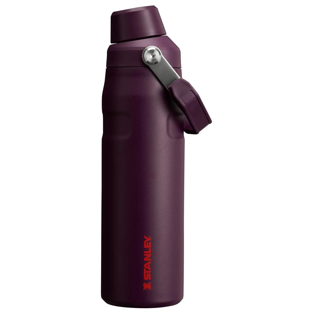 Stanley IceFlow™ Bottle with Fast Flow Lid | 24 OZ 1