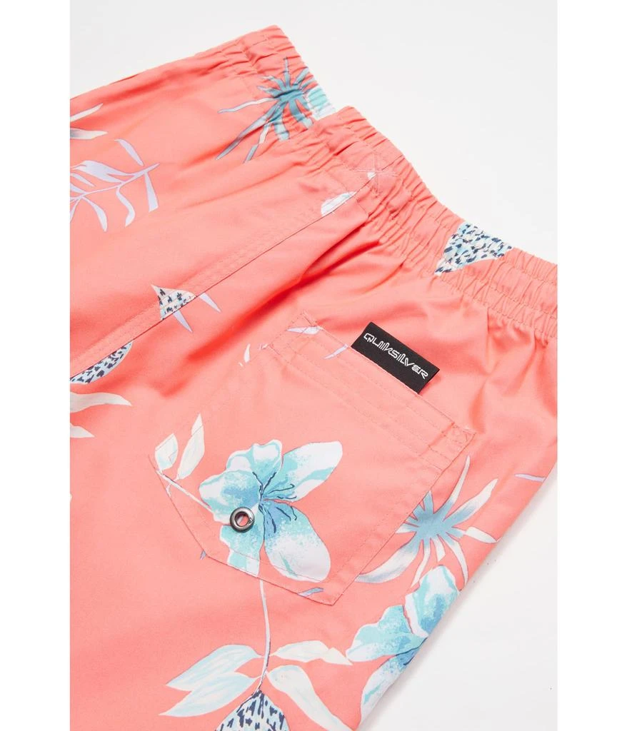 Quiksilver Everyday Mix Volley (Toddler/Little Kids) 2