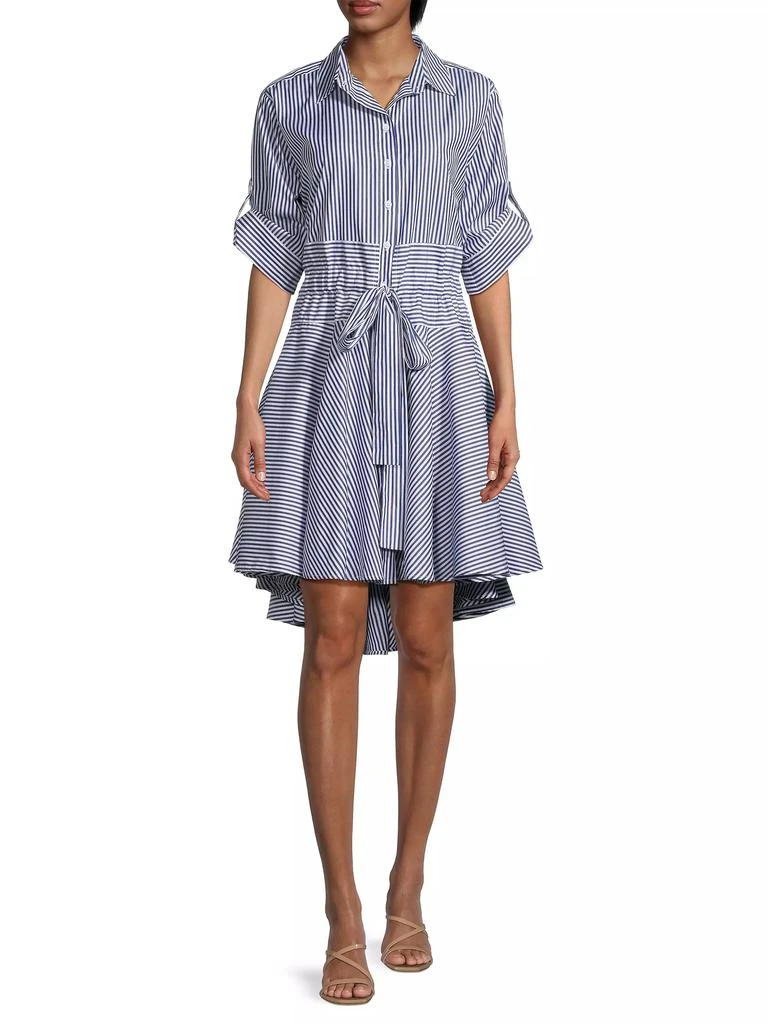 Harshman Meadow Striped Shirtdress 2