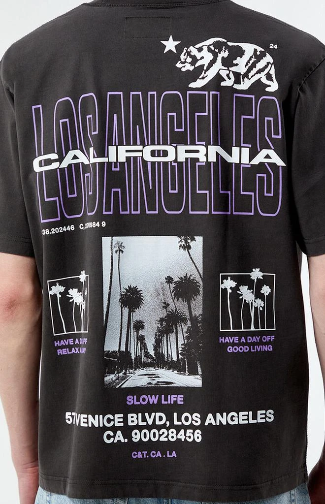 PacSun LA Coordinates Oversized T-Shirt 2