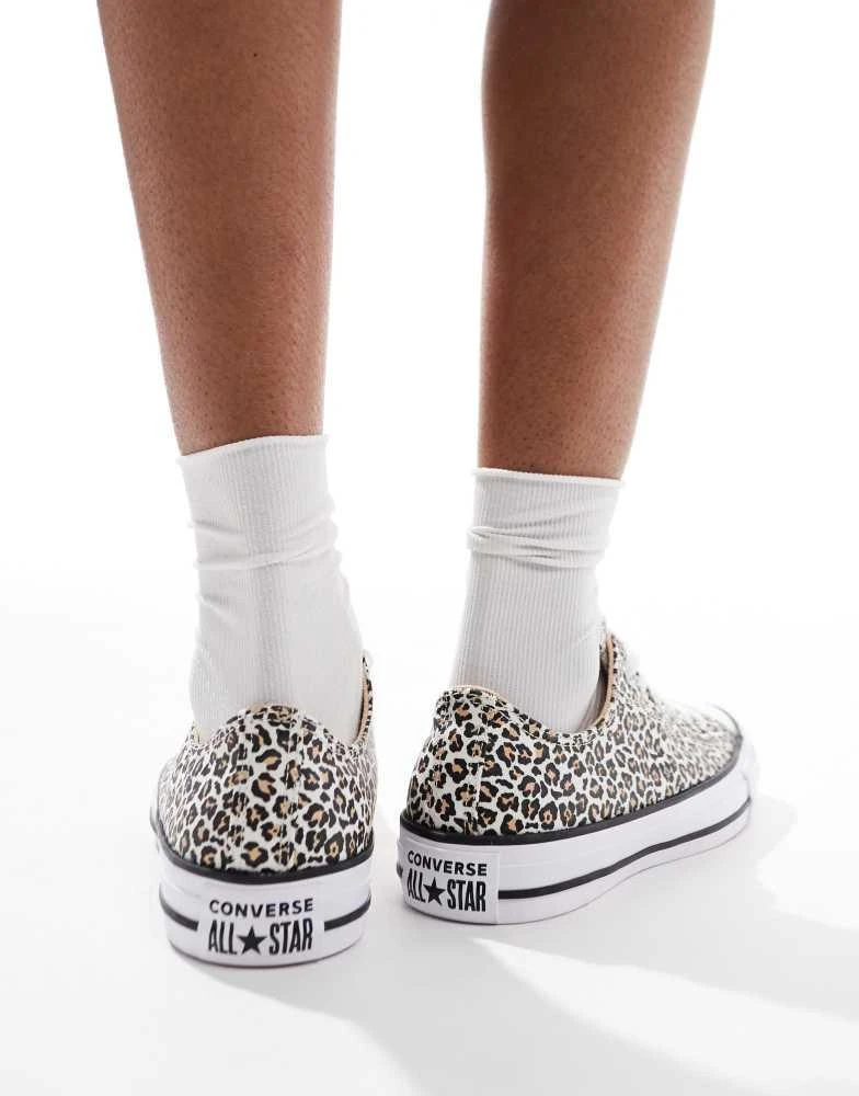 Converse Converse Chuck Taylor All Star Ox trainers in leopard print 3