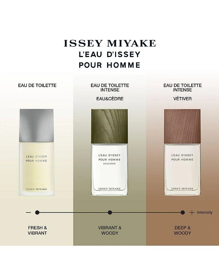 Issey Miyake L'eau d'Issey Pour Homme Eau de Toilette 7