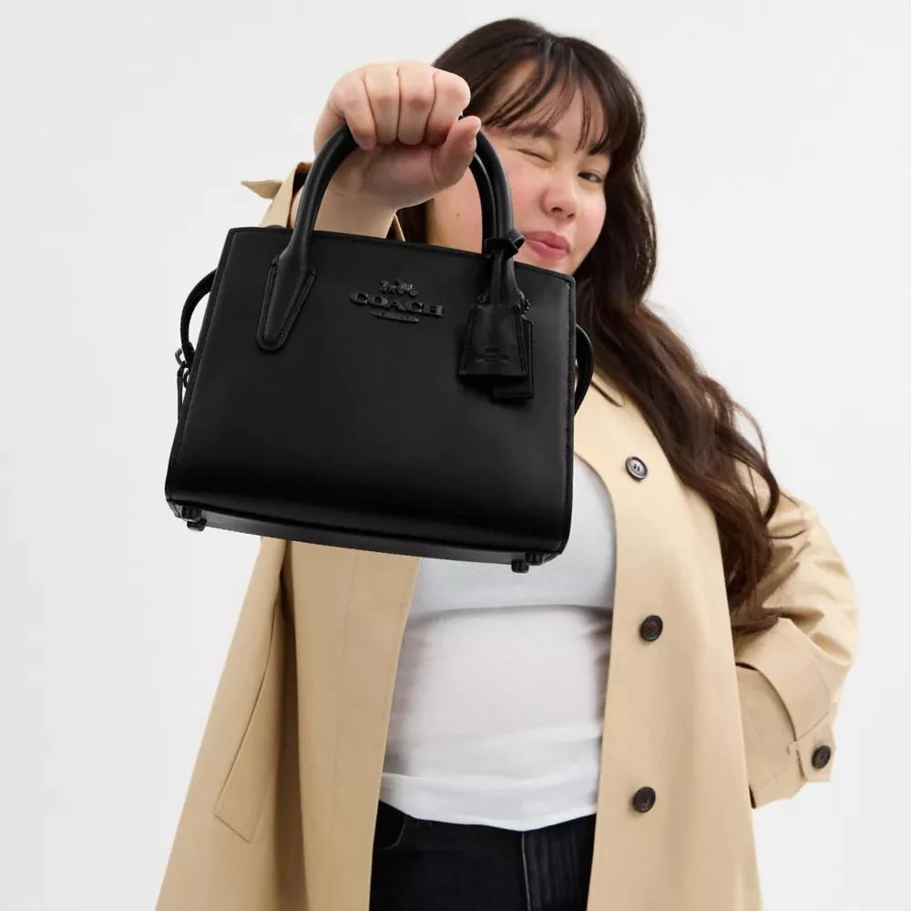 Coach Andrea Carryall Bag 4