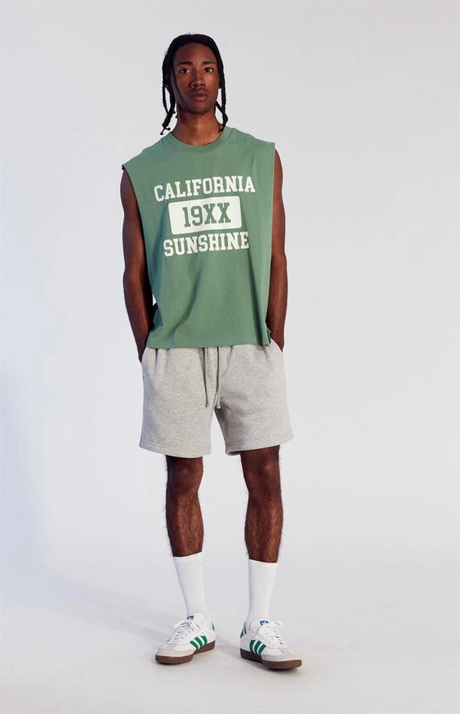 PacSun Fleece Grey Sweat Shorts 3