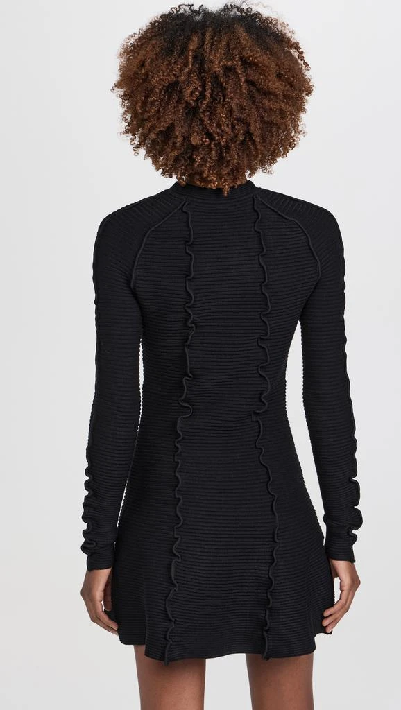 AMUR Walker Letuce Edge Dress 2