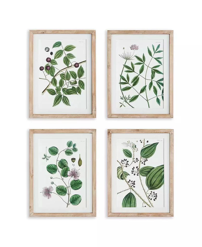Napa Home 
Garden Verdant Branch Prints Set of 4