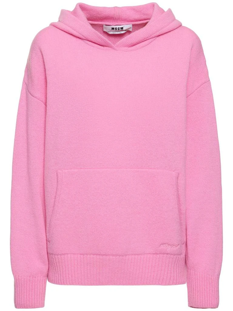 MSGM Wool Blend Knit Hoodie 1