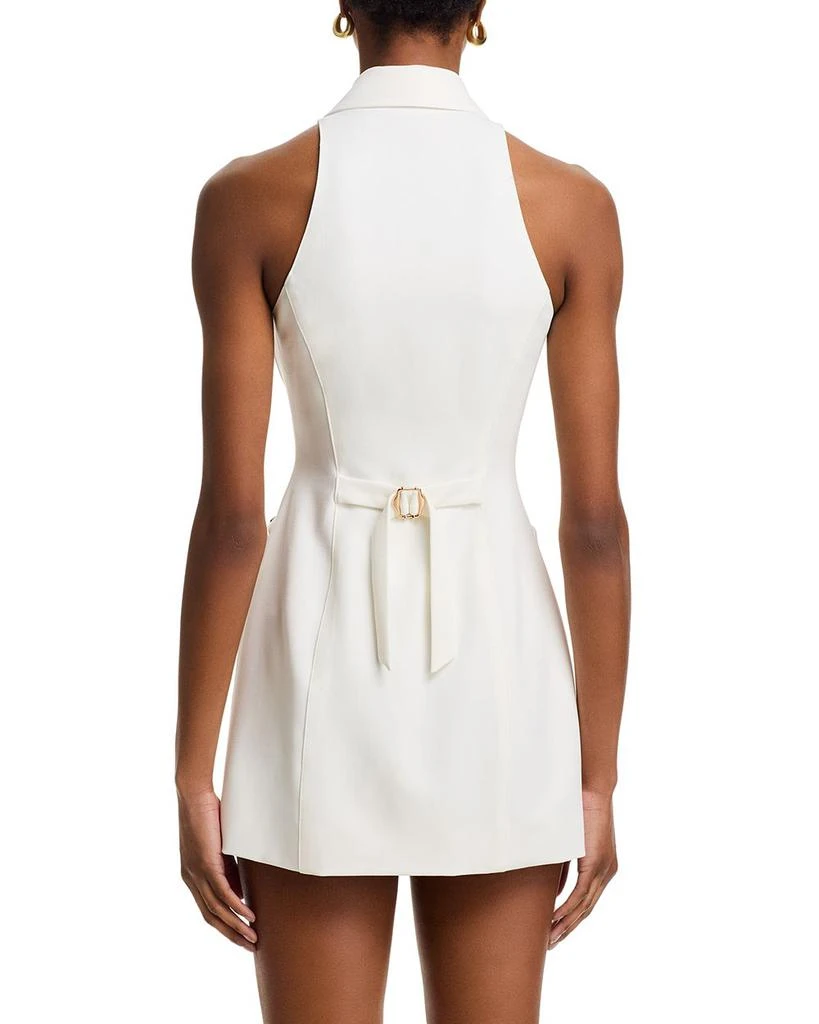 Danielle Guizio Isla Dress 4