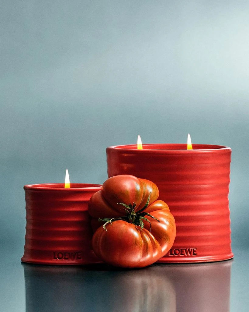 Loewe Large Tomato Leaves Candle, 74.8 oz. 6