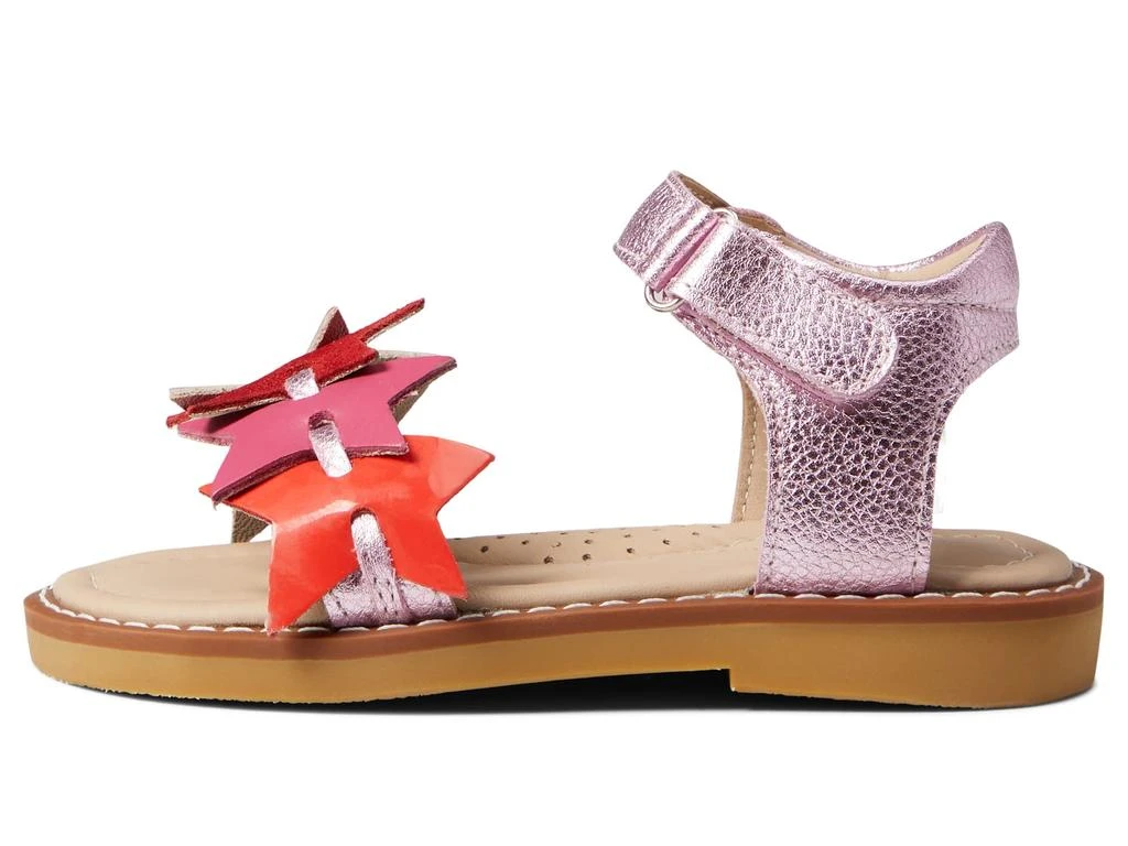 Elephantito Stars Sandal (Toddler/Little Kid/Big Kid) 4