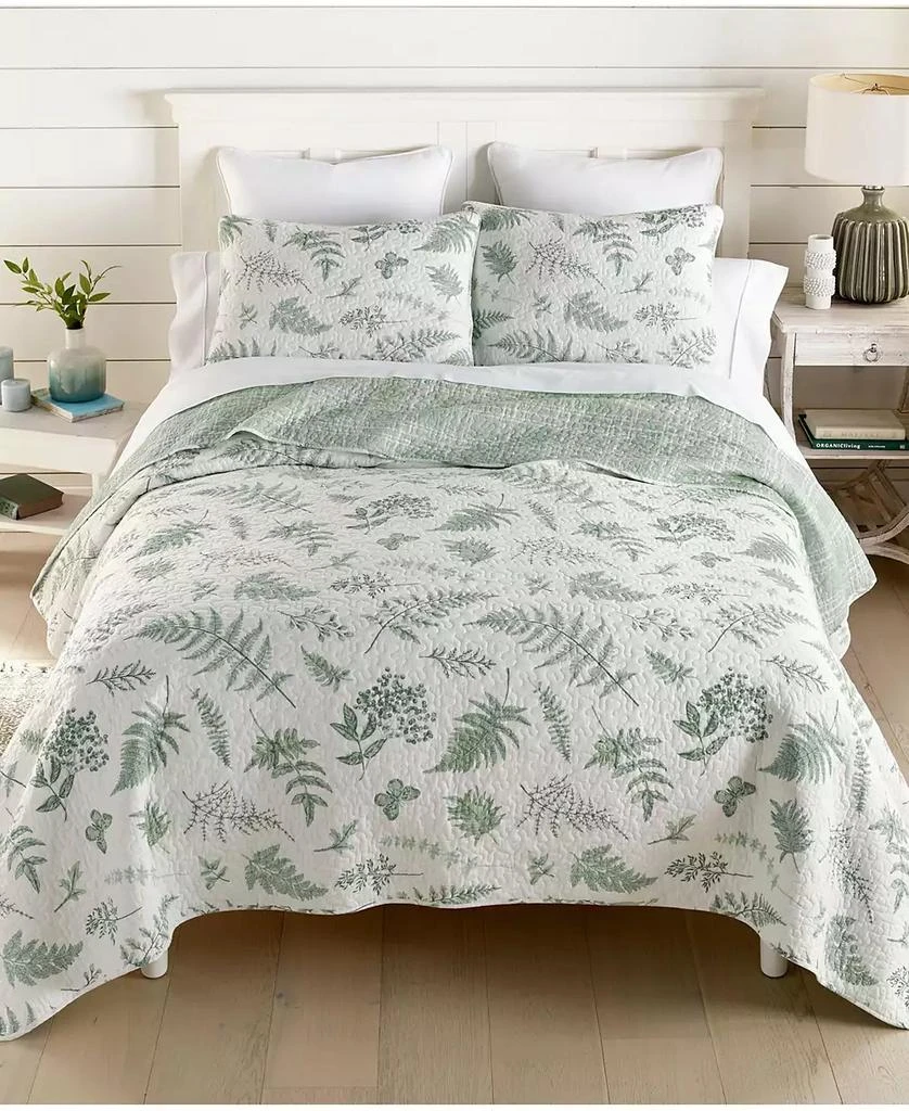 Donna Sharp Botanical Reversible 3-Piece Quilt Set 1