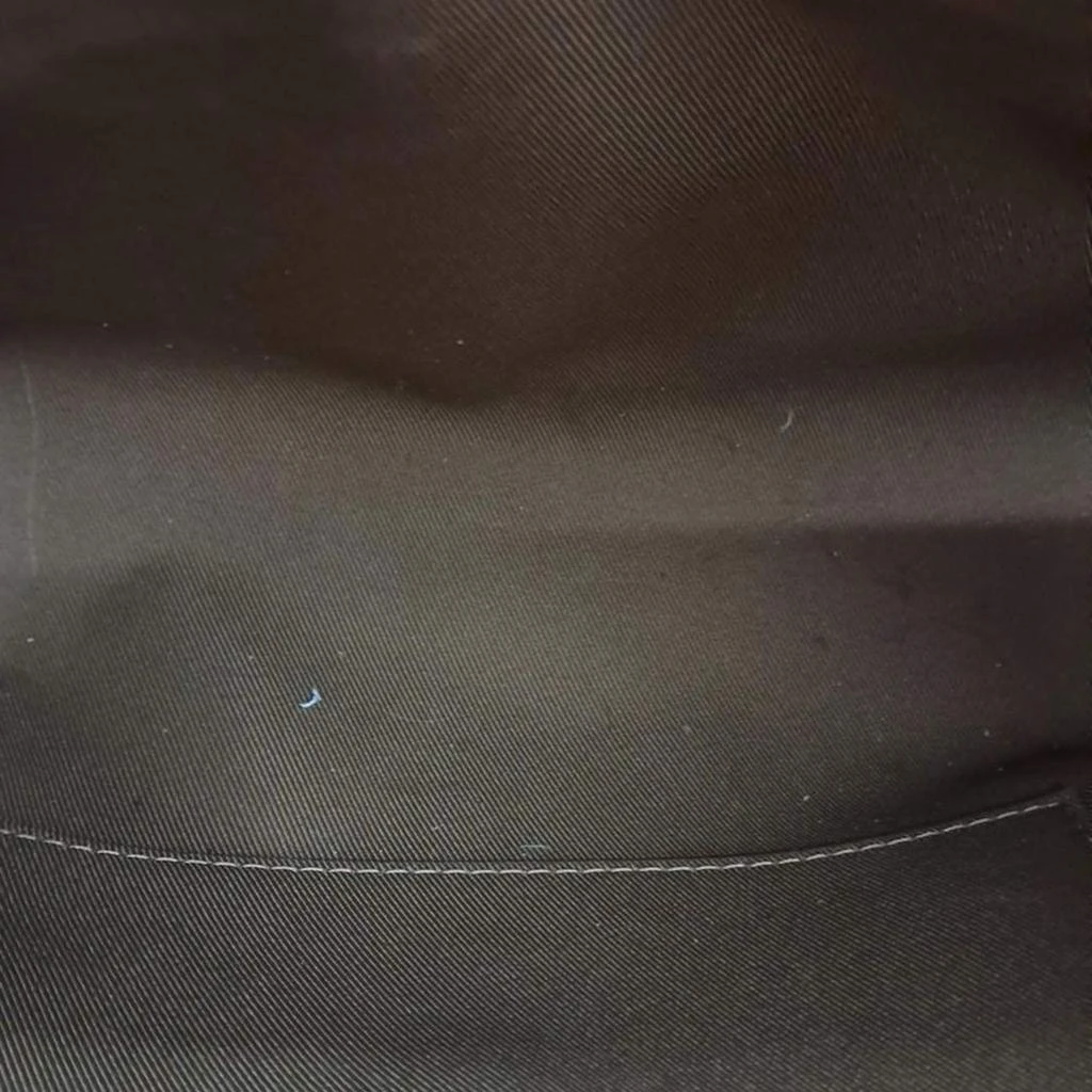 Louis Vuitton Louis Vuitton Excursion Backpack PM 6