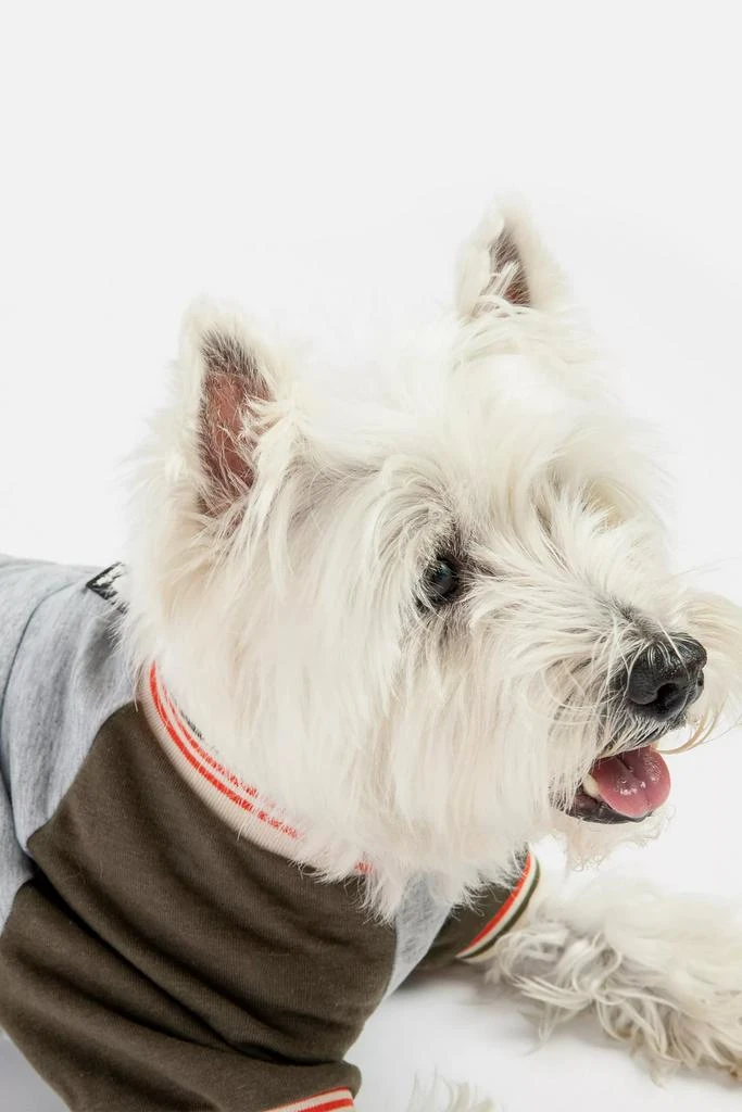 Silver Paw Silver Paw Dog Chase Raglan Sweatshirt 1