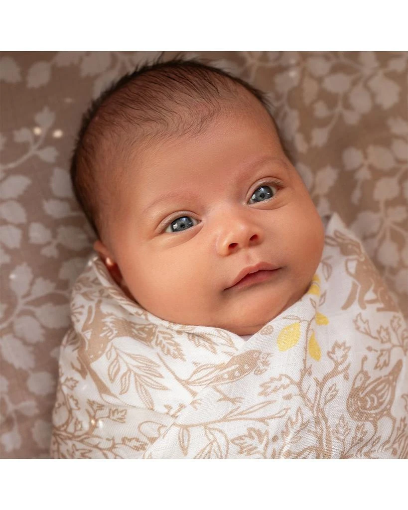 aden + anais Silky Soft Swaddles Woodland, 3 Pack 5