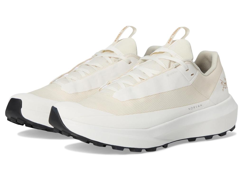 Arc
teryx Norvan LD 4 GTX