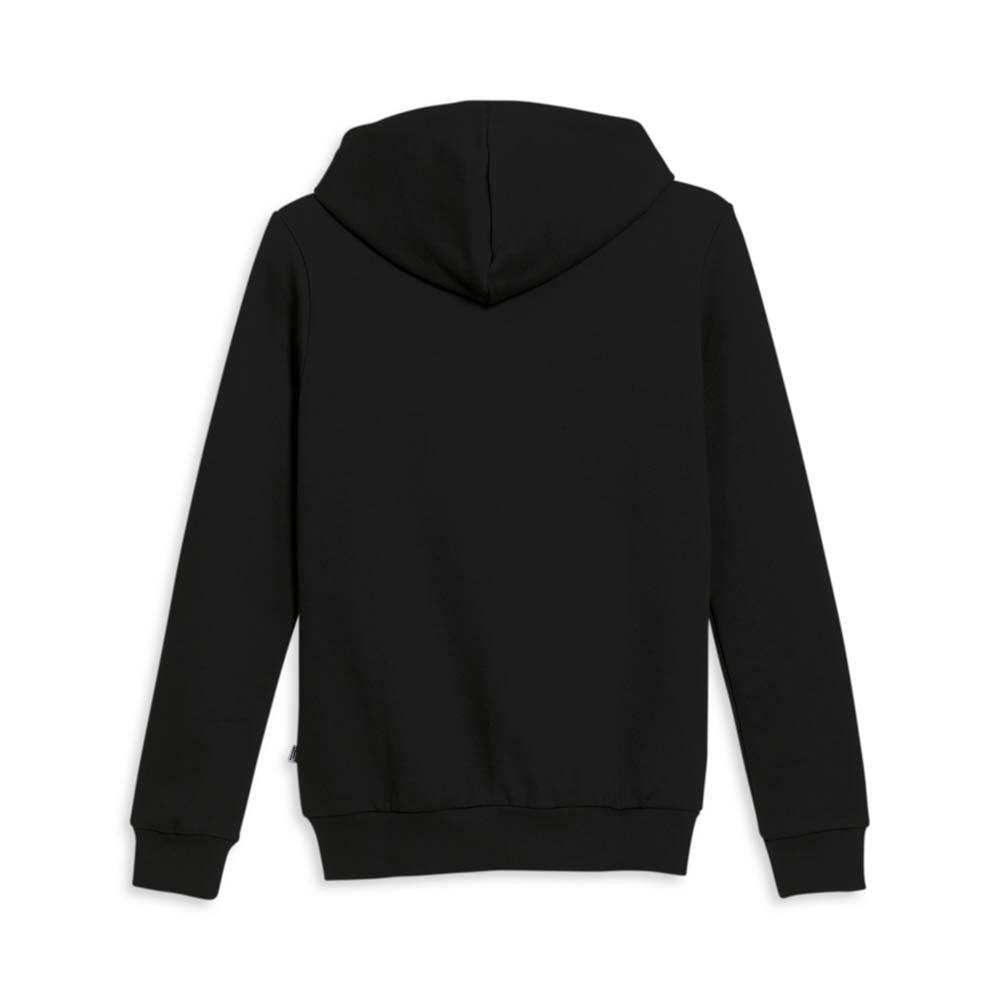 Puma Iridescent Pullover Hoodie