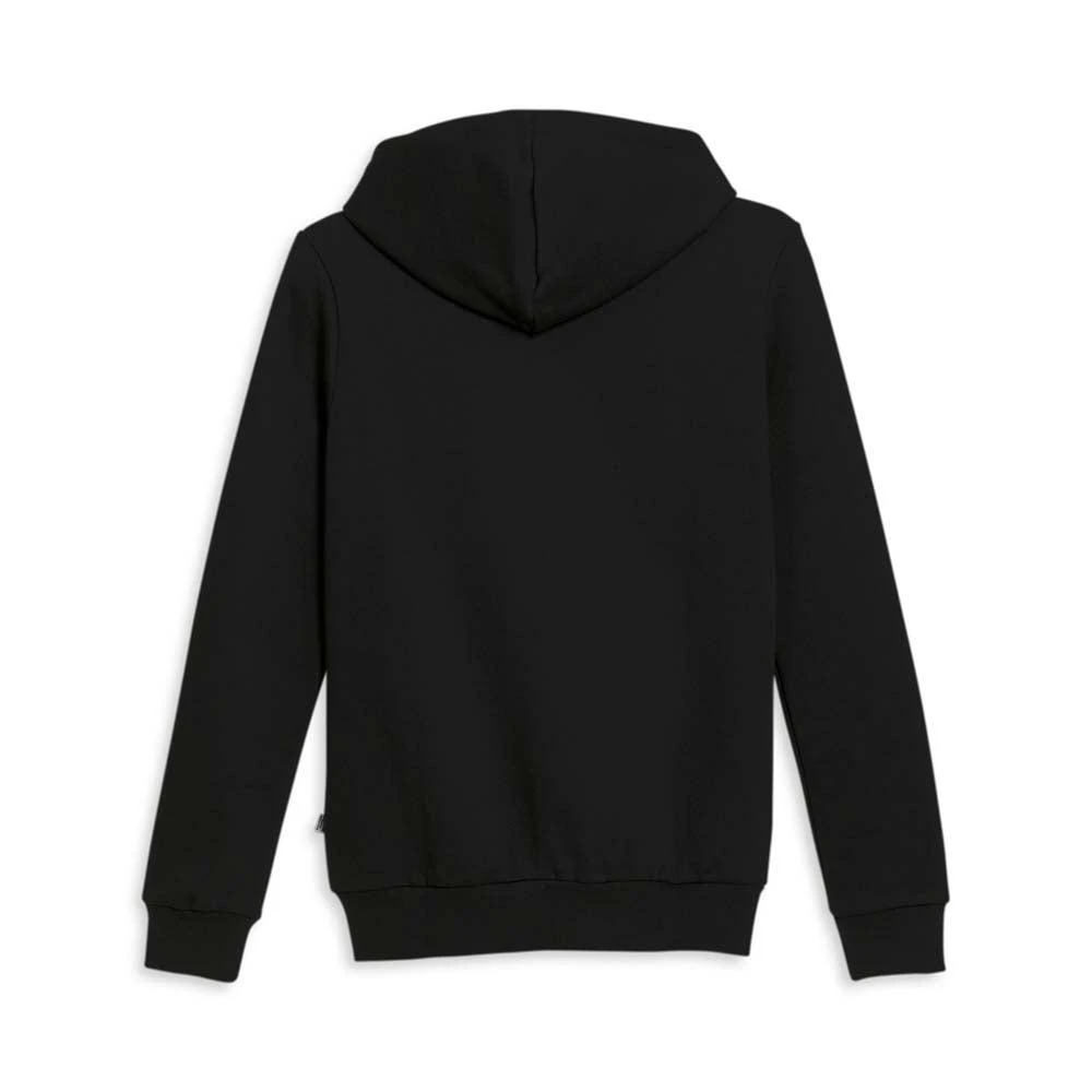 Puma Iridescent Pullover Hoodie 2