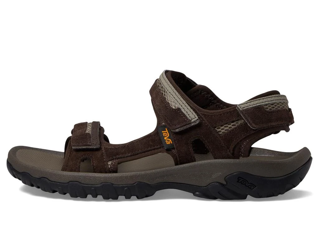 Teva Hudson 4