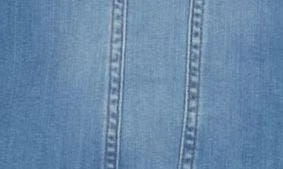 Caslon Classic Denim Jacket 4