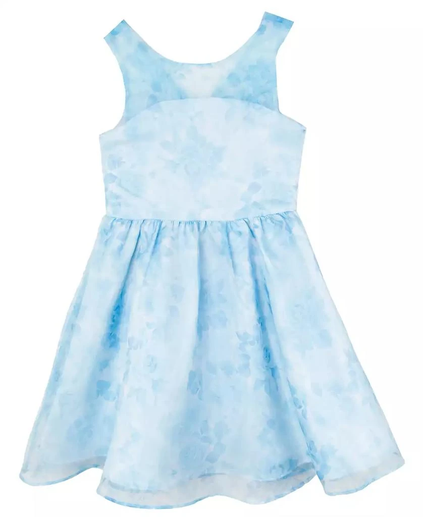 Rare Editions Toddler and Little Girls Floral Organza Social Dress 5