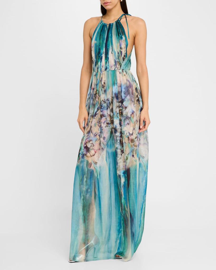 Alberta Ferretti Flower-Print Pleated Chiffon Halter Gown