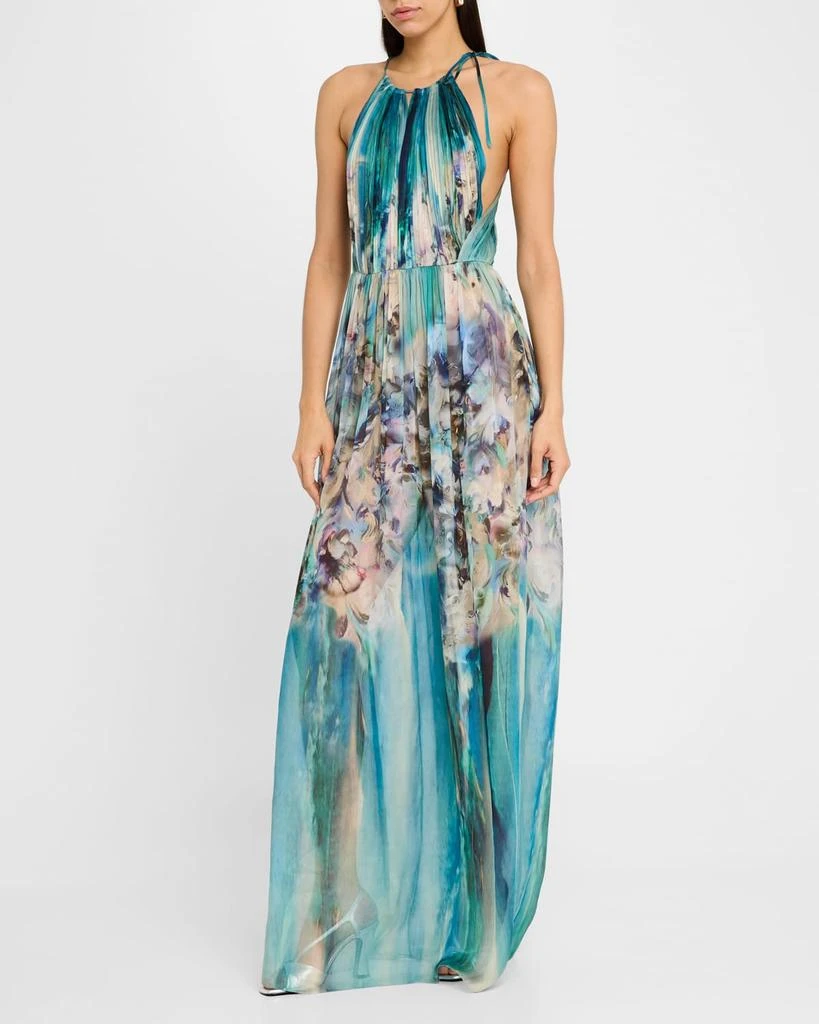 Alberta Ferretti Flower-Print Pleated Chiffon Halter Gown 2