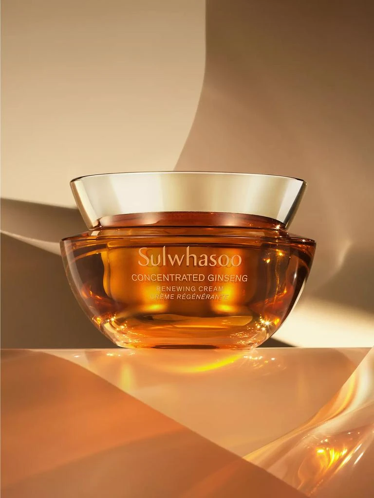 Sulwhasoo Concentrated Ginseng Renewing Cream 8