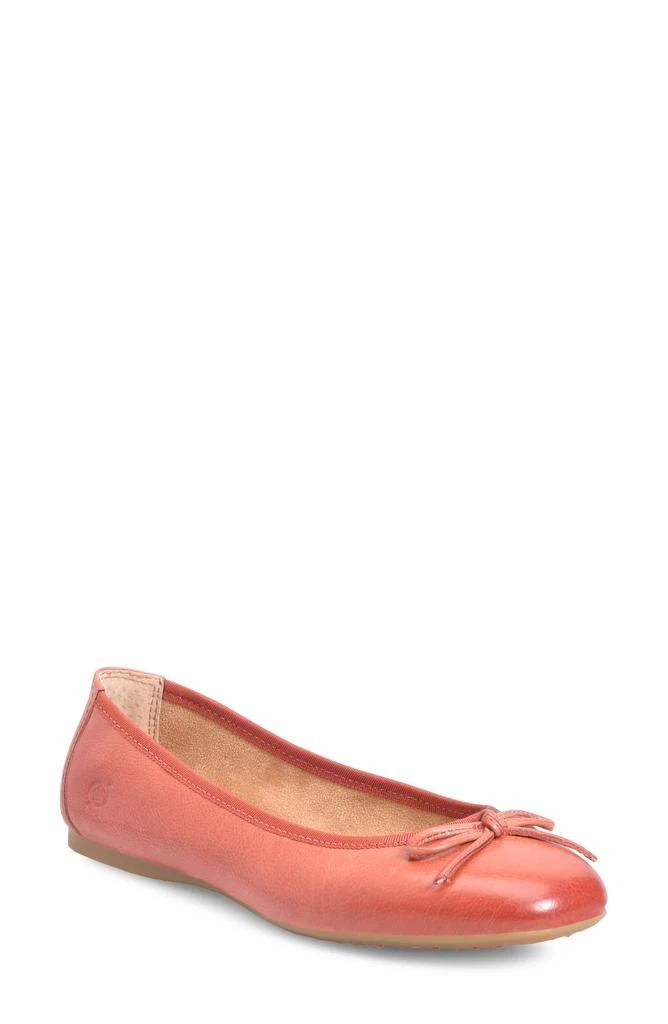 Børn Brin Ballet Flat 1