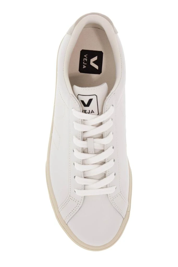 Veja esplar sne 2