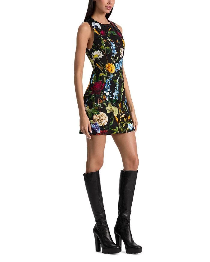 chinese dress ladies alice + olivia Women's Wynell Fitted Mini Dress, Chateau, 8 at Amazon  Women's Clothing store