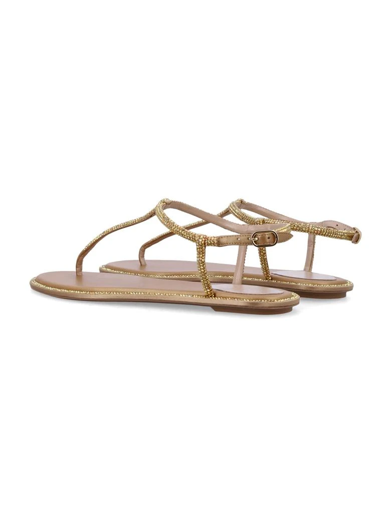 René Caovilla Crystals Diana Thong Sandals 4