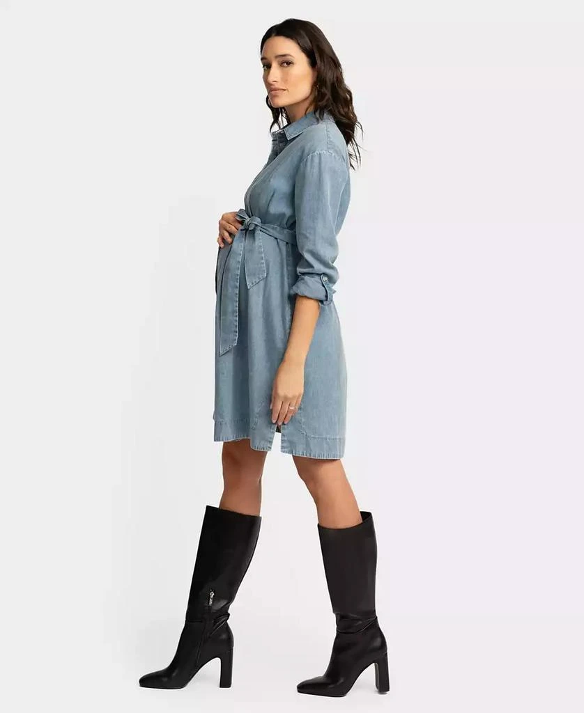 Seraphine Women's Maternity Chambray Dress 2