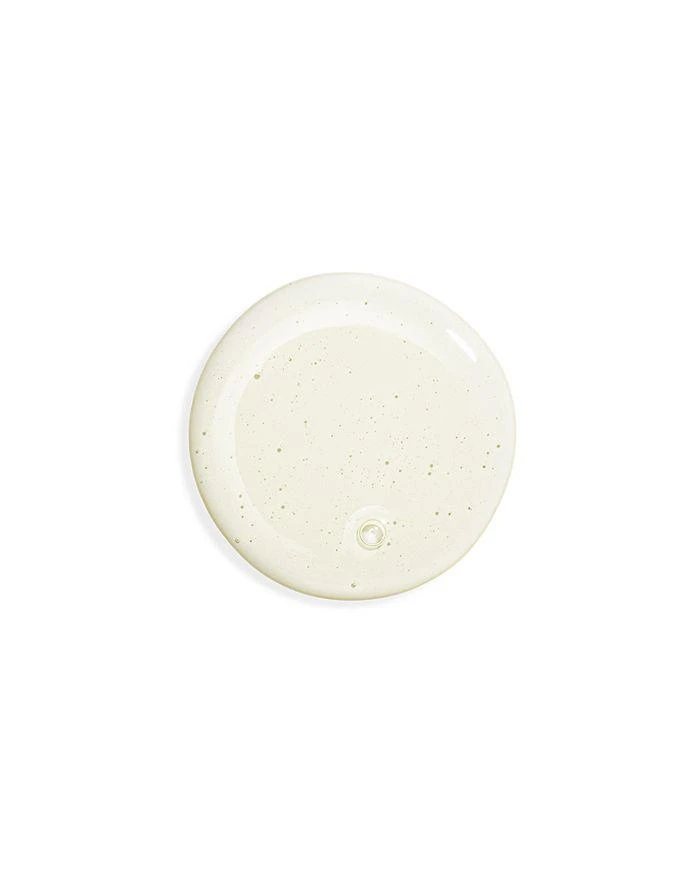 Sisley Sisley-Paris Hair Rituel Gentle Purifying Shampoo 6.7 oz. 3