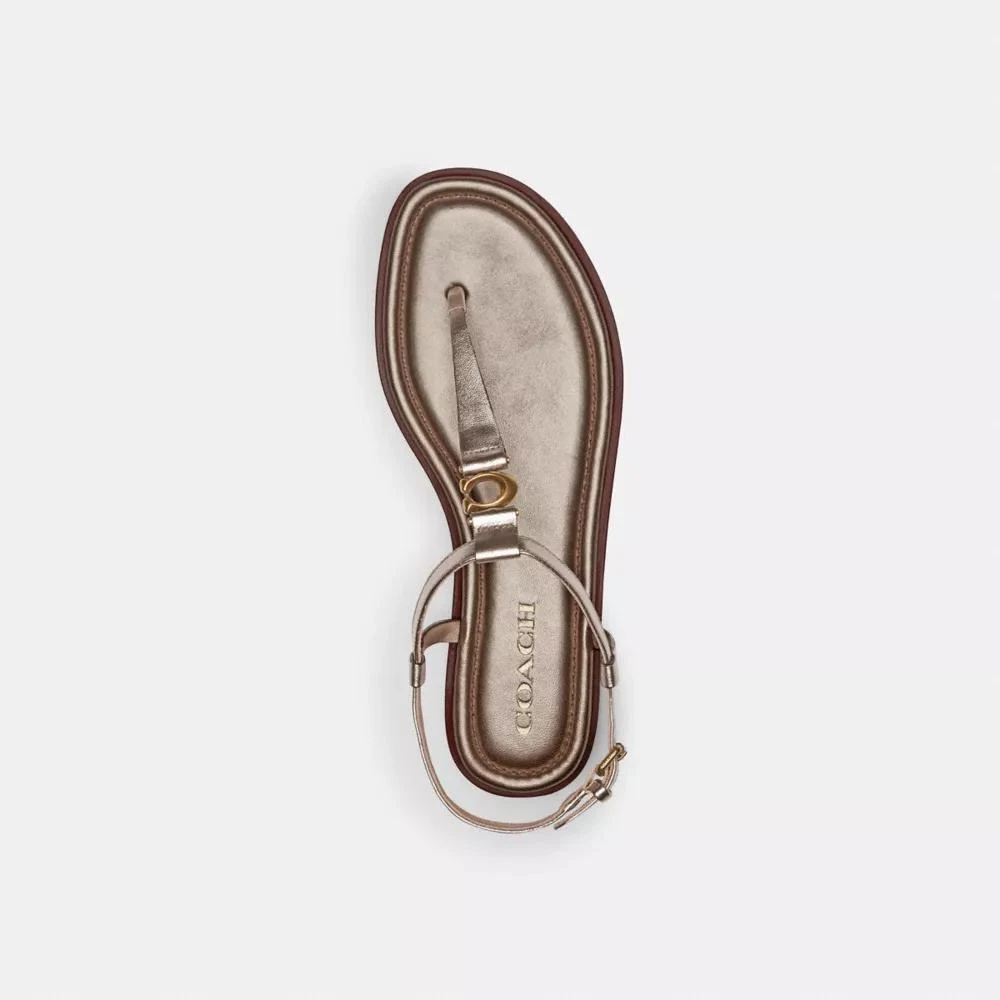 Coach Jessica Sandal 3