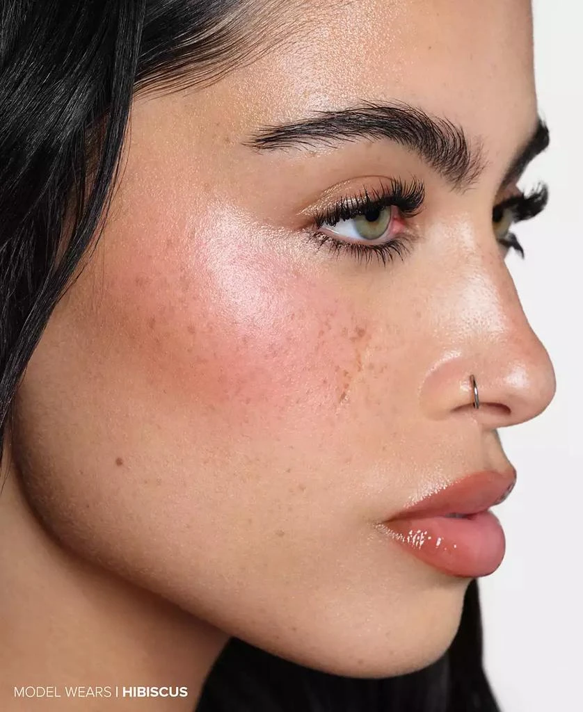 Anastasia Beverly Hills Blurring Serum Blush, 0.32 oz. 6