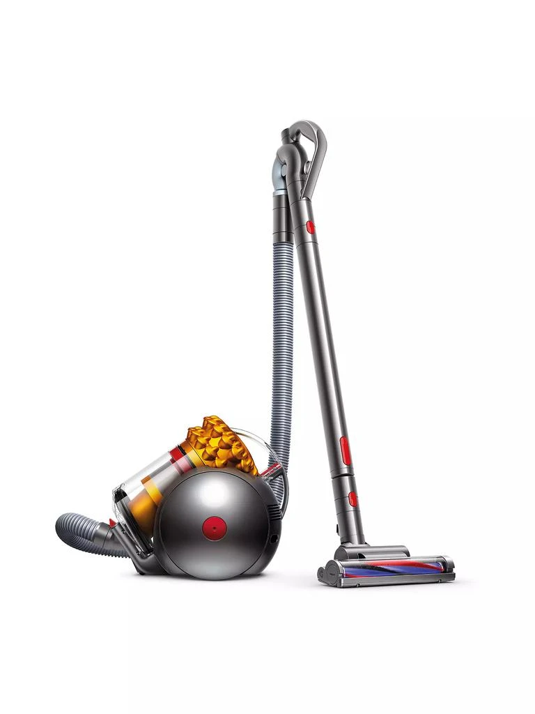 Dyson Big Ball Multi Floor Canister Vacuum 1
