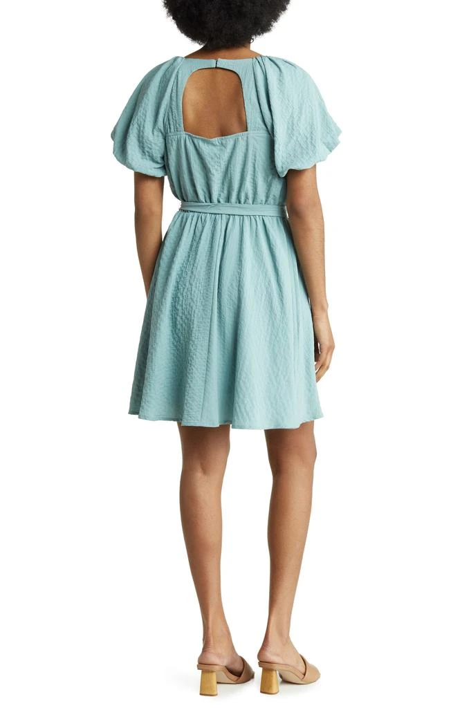 Lush Puff Sleeve Tie Waist Minidress 2
