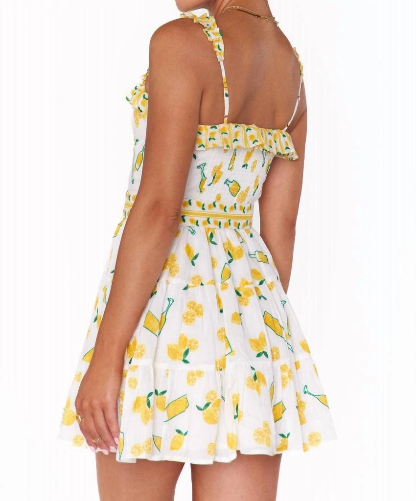 Show Me Your Mumu Jolene Mini Dress In Limoncello Embroidery 2