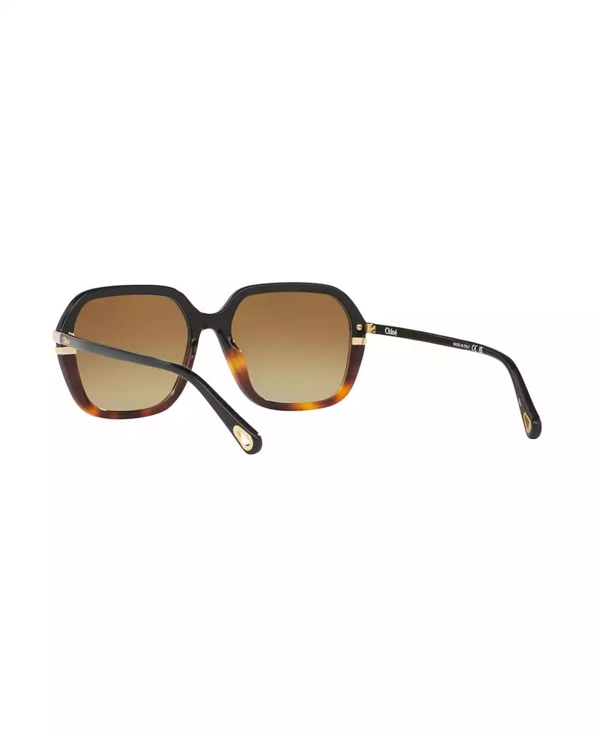 Chloé Women's Sunglasses, CH0204S 6