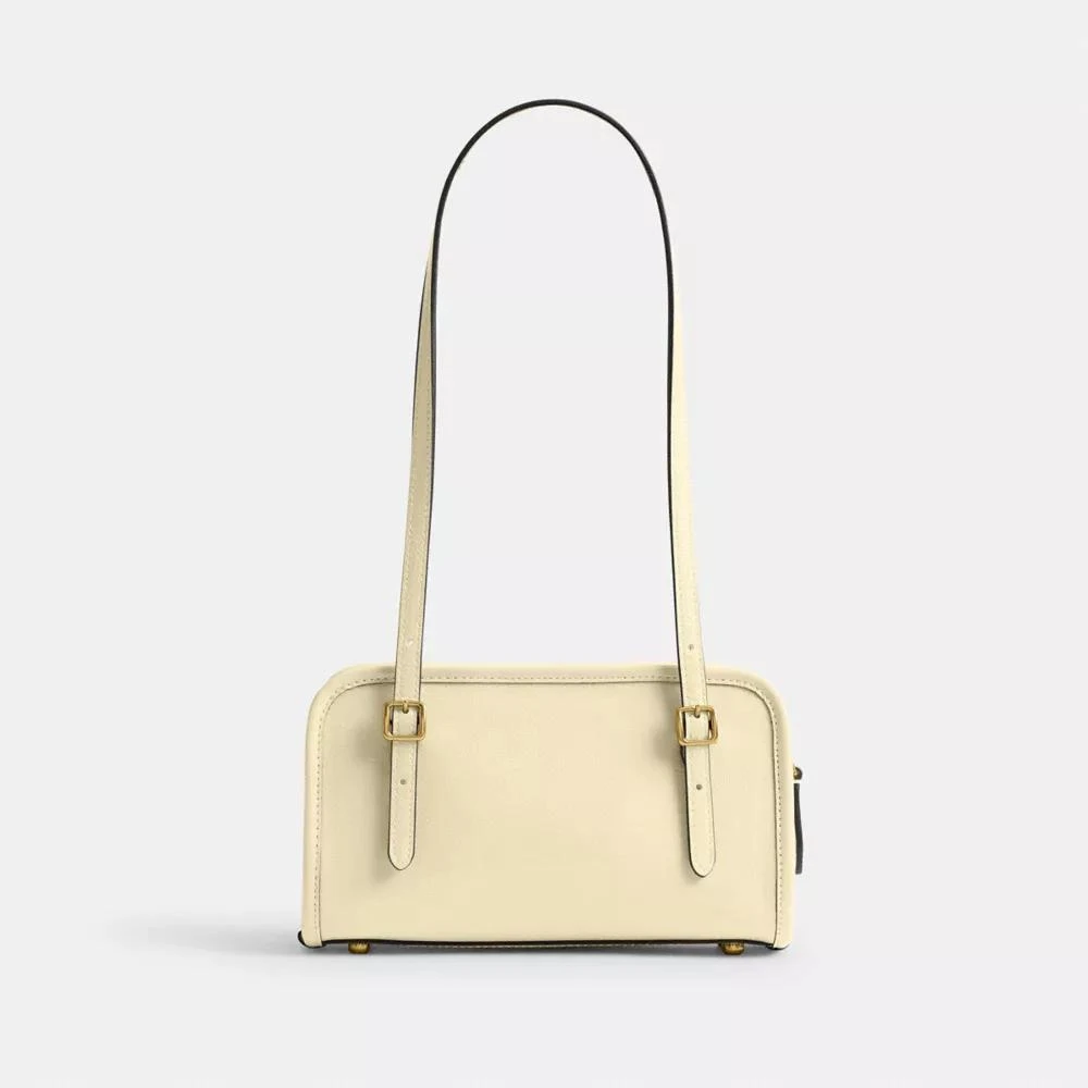 Coach Swing Zip Bag 20 4