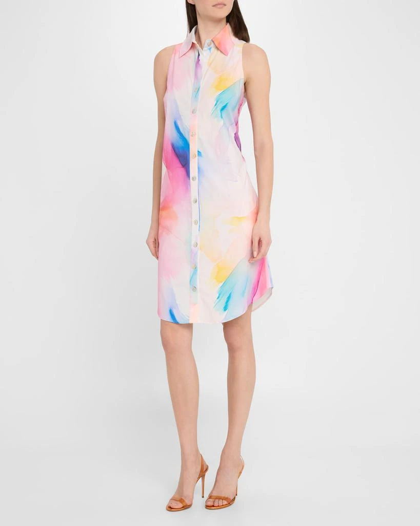 Finley Swing Sleeveless Abstract-Print Shirtdress 4