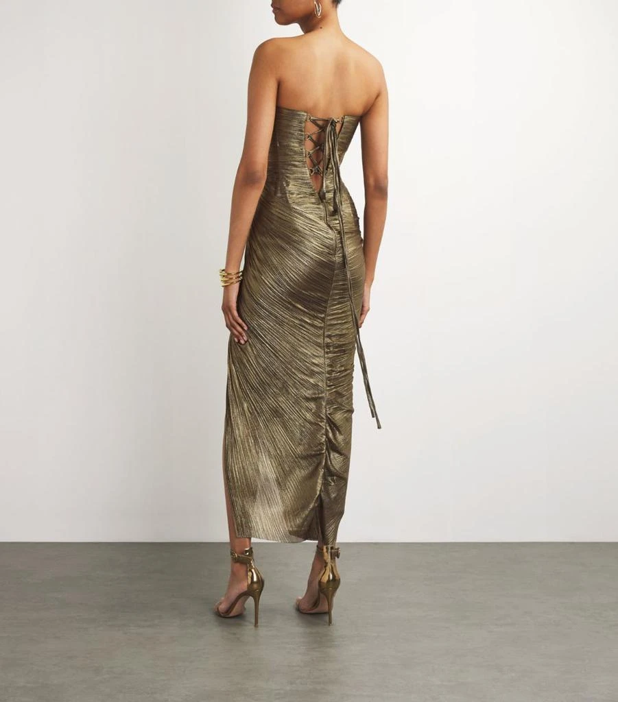 Maria Lucia Hohan Strapless Ruby Midi Dress 3