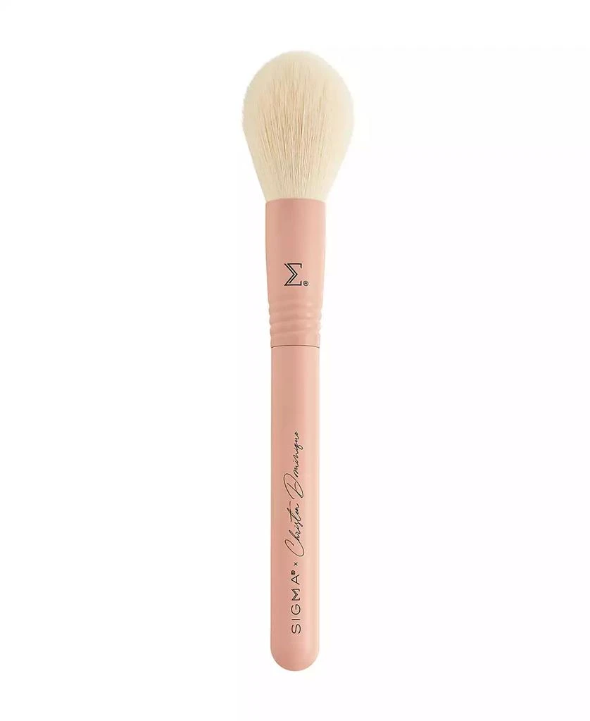 Sigma Beauty X Christen Dominique Brush Set 4