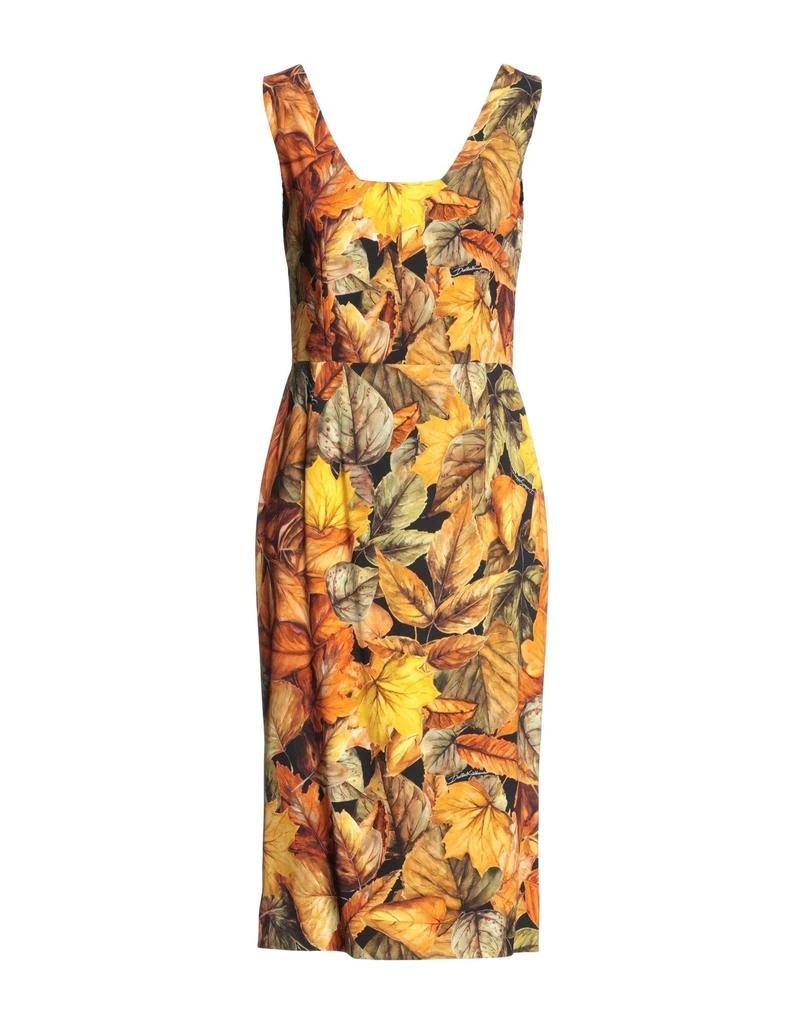 Dolce & Gabbana Midi dress 1