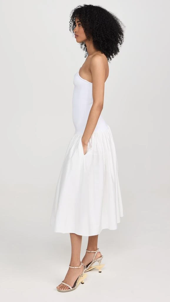 Alexis Kamali Dress 3