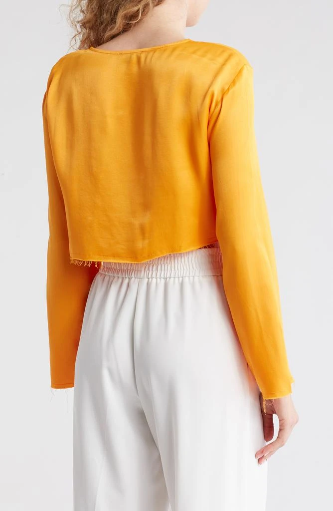 Topshop Raw Hem Crop Satin Top 2