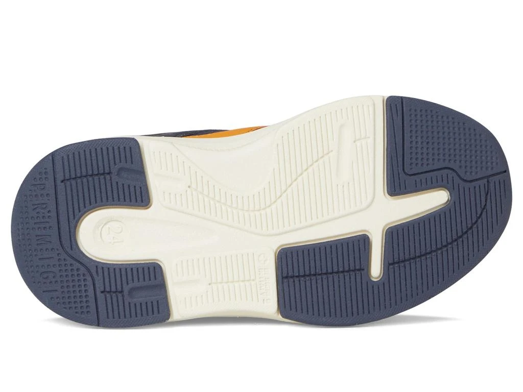 Primigi Kids PUP 69624 (Toddler/Little Kid) 3